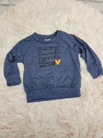 Mom and Me Autumn Leaves and Pumpkins Please Pullover (adult)